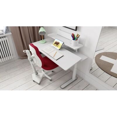 LIFETIME Ergo - Elektrisch höhenverstellbar - 60x120 cm - Desk LIFETIME Ergo - Elektrisch höhenverstellbar - 60x120 cm - Desk