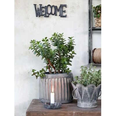 Chic Antique - 64081400 - Jern Grå - Decorative plaque Chic Antique - 64081400 - Jern Grå - Decorative plaque