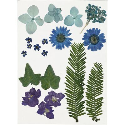 Creativ Company 504472 Künstliche Pflanze - Blau - 19 Stück - Indoor Dekor Creativ Company 504472 Künstliche Pflanze - Blau - 19 Stück - Indoor Dekor