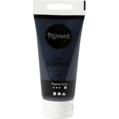 Pigment Art Paynes Gray Acrylverf - Type acryl Pigment Art Paynes Gray Acrylverf - Type acryl