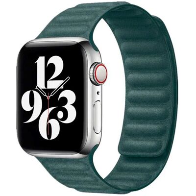 Apple Watch 42/44/SE/45/46/49mm Lippa Magnetisk Finewoven Rem - Grøn Apple Watch 42/44/SE/45/46/49mm Lippa Magnetisk Finewoven Rem - Grøn