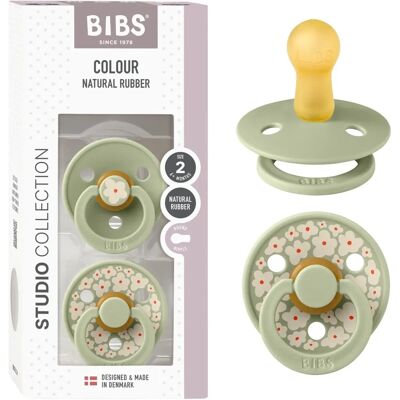 Chupetas Colout - Pack de 2 - Tamanho 2 - Redondo - Jasmim - Mistura de Sálvia - Bibs Chupetas Colout - Pack de 2 - Tamanho 2 - Redondo - Jasmim - Mistura de Sálvia - Bibs
