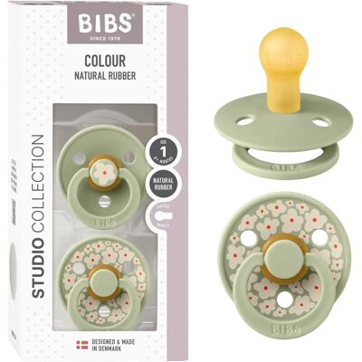 BIBS Farge Smokker - 2-pack - Str. 1 - 0-6 måneder - Jasmin, Salvie - Ortodontisk Silikon BIBS Farge Smokker - 2-pack - Str. 1 - 0-6 måneder - Jasmin, Salvie - Ortodontisk Silikon