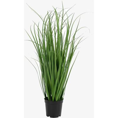 House Nordic Kunstig Poa Græs 68cm Grøn - Kunstig Plante House Nordic Kunstig Poa Græs 68cm Grøn - Kunstig Plante