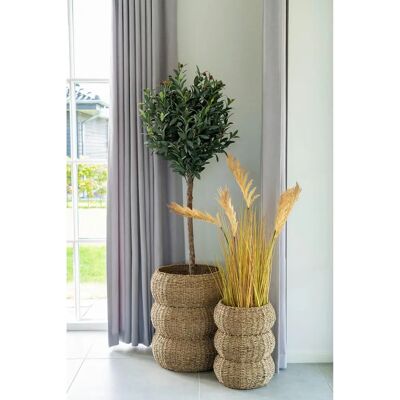 House Nordic Sarbas Set 2 Körbe aus Seegras - Aufbewahrungskörbe House Nordic Sarbas Set 2 Körbe aus Seegras - Aufbewahrungskörbe