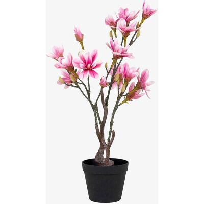House Nordic Künstlicher Magnolienbaum - 75cm, Grün, 30x40x75cm House Nordic Künstlicher Magnolienbaum - 75cm, Grün, 30x40x75cm