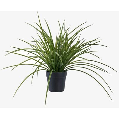 House Nordic Künstliche Grüne Graspflanze - 45cm - Gartendekor House Nordic Künstliche Grüne Graspflanze - 45cm - Gartendekor