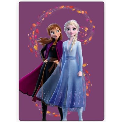 Disney Frozen Prinzessin Anna Elsa Fleecedecke 100x140cm Disney Frozen Prinzessin Anna Elsa Fleecedecke 100x140cm
