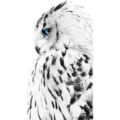 Malerifabrikken White owl Plakat - 30x40 Malerifabrikken White owl Plakat - 30x40
