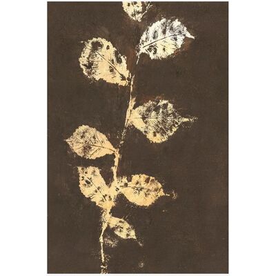 Malerifabrikken Poster Pure Nature 4 - Brun - 50X70 Malerifabrikken Poster Pure Nature 4 - Brun - 50X70