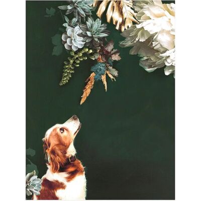 Malerifabrikken Affisch Pet Couture 30X40 - Flerfärgad Malerifabrikken Affisch Pet Couture 30X40 - Flerfärgad