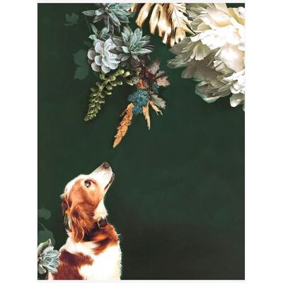 Malerifabrikken Pet Couture 1 - Flerfarget - 70X100 - Plakat Malerifabrikken Pet Couture 1 - Flerfarget - 70X100 - Plakat