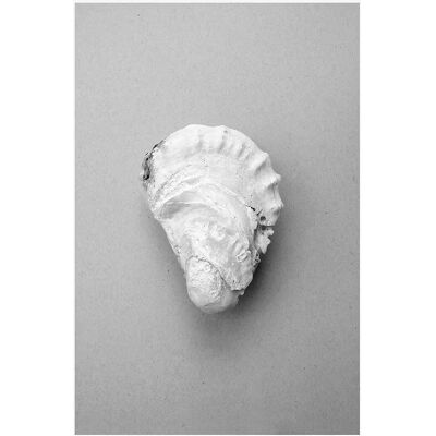 Malerifabrikken Oyster 2 Grå Plakat - 50X70 - Plakat Malerifabrikken Oyster 2 Grå Plakat - 50X70 - Plakat