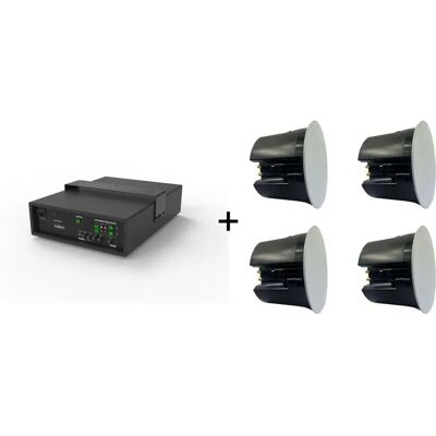 Vivolink - Audiopack Subwoofer - 4 Pro Deckenlautsprecher Vivolink - Audiopack Subwoofer - 4 Pro Deckenlautsprecher