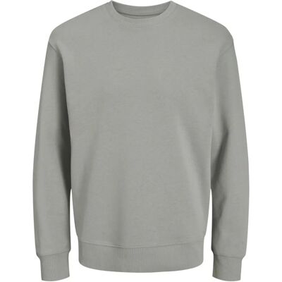 JACK & JONES JJESTAR BASIC SWEAT CREW NECK NOOS - Sweatshirt JACK & JONES JJESTAR BASIC SWEAT CREW NECK NOOS - Sweatshirt