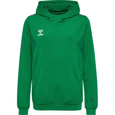 Hummel Sudadera Infantil Unisex - Colección Authentic Pl - Teamsport 2024 Hummel Sudadera Infantil Unisex - Colección Authentic Pl - Teamsport 2024