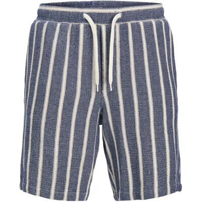 Jack & Jones Plus - Shorts jpstJaiden Coba Stripe Jog Short SN - Blå - Shorts Jack & Jones Plus - Shorts jpstJaiden Coba Stripe Jog Short SN - Blå - Shorts