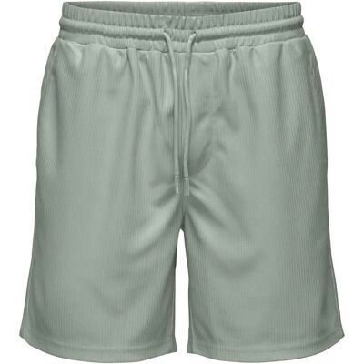 ONLY & SONS Iceberg Grøn Shorts - Shorts ONLY & SONS Iceberg Grøn Shorts - Shorts