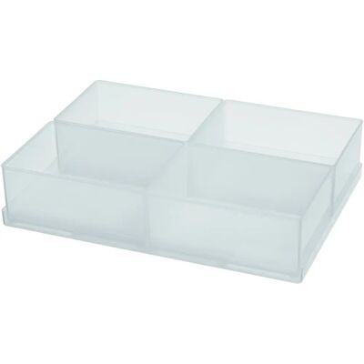 Inserto di stoccaggio Raaco - 4 scomparti - Trasparente - 220x160x47mm Inserto di stoccaggio Raaco - 4 scomparti - Trasparente - 220x160x47mm