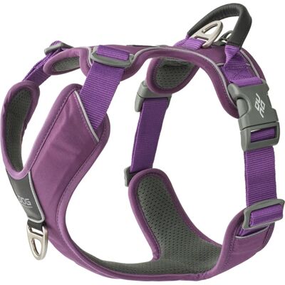 Harnais Comfort Walk Pro de Dog Copenhagen - Passion Pourpre - Harnais - Publicité Harnais Comfort Walk Pro de Dog Copenhagen - Passion Pourpre - Harnais - Publicité