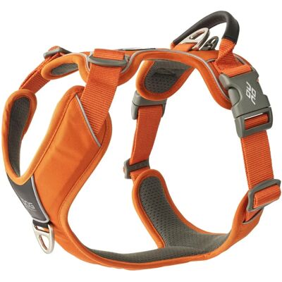 Harnais Comfort Walk Pro de Dog Copenhagen - Orange Sun - Harnais pour chiens - Publicité Harnais Comfort Walk Pro de Dog Copenhagen - Orange Sun - Harnais pour chiens - Publicité