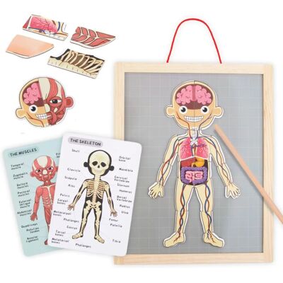 Mamabrum MAM48 BODY CHART - Edukacyjne puzzle dla dzieci Mamabrum MAM48 BODY CHART - Edukacyjne puzzle dla dzieci