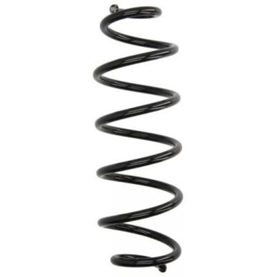 MAGNUM TECHNOLOGY SA109MT - Hinterachse Spiralfeder MAGNUM TECHNOLOGY SA109MT - Hinterachse Spiralfeder
