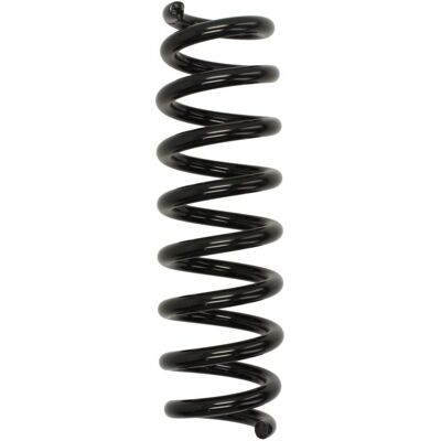 Magnum Technology SB113MT Feder - Hinterachse Magnum Technology SB113MT Feder - Hinterachse