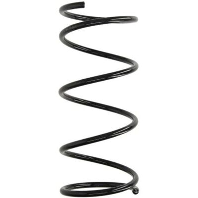 Magnum Technology SZ2119MT Feder für die Vorderachse Magnum Technology SZ2119MT Feder für die Vorderachse