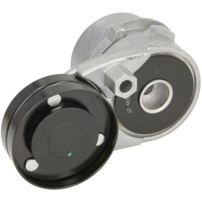 BTA E3W0016BTA Tenditore cinghia a V - Ricambi auto BTA E3W0016BTA Tenditore cinghia a V - Ricambi auto