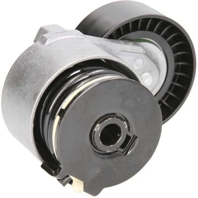 Renault E3R0002BTA Spanner Pulley - Idler and tensioner Renault E3R0002BTA Spanner Pulley - Idler and tensioner
