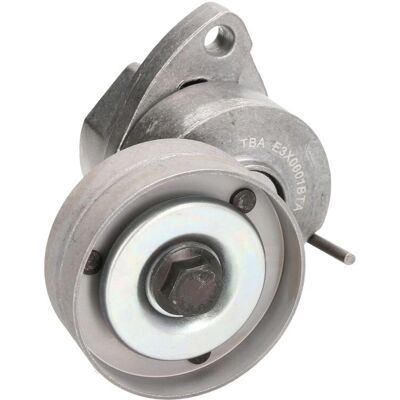 BTA E3X0001BTA Puleggia tensionatrice Opel Chevrolet - Pulegge & Tensionatori BTA E3X0001BTA Puleggia tensionatrice Opel Chevrolet - Pulegge & Tensionatori