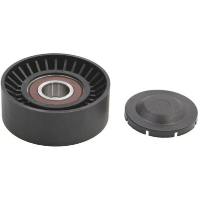 BTA E2B0038BTA Tenditore cinghia a V BTA E2B0038BTA Tenditore cinghia a V