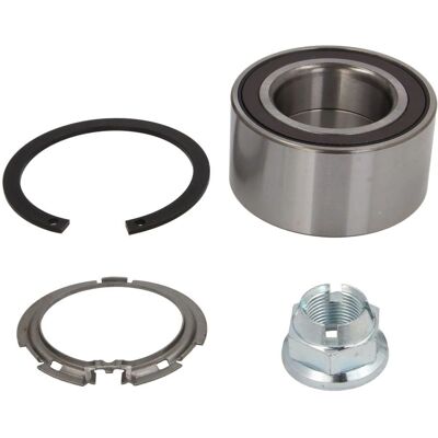 Kit cuscinetti ruota BTA per Renault Megane 2, Scenic 2, Grand Scenic 2 Kit cuscinetti ruota BTA per Renault Megane 2, Scenic 2, Grand Scenic 2