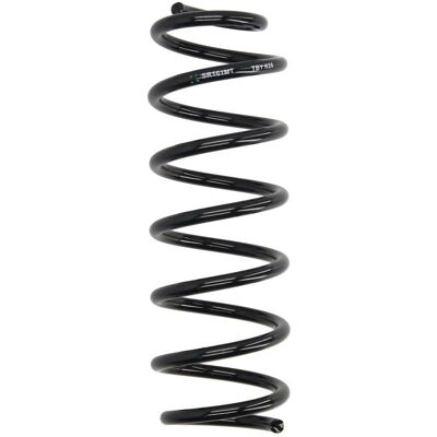 Molla di sospensione Magnum Technology SR161MT Asse posteriore - Molla elicoidale Molla di sospensione Magnum Technology SR161MT Asse posteriore - Molla elicoidale
