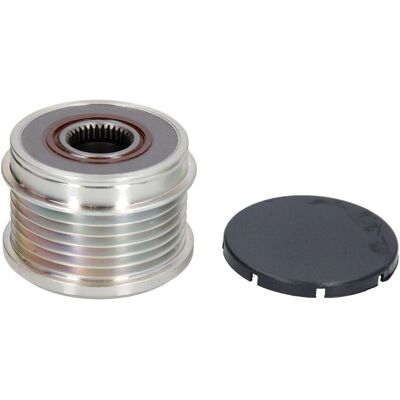 Puleggia Alternatore BTA E4X003BTA - 6 Scanalature Puleggia Alternatore BTA E4X003BTA - 6 Scanalature