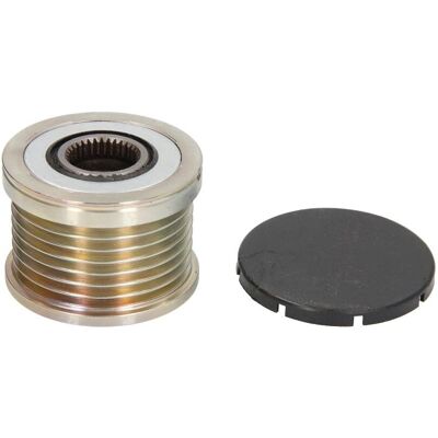 Puleggia Alternatore BTA E41002BTA - Ricambio alternatore Puleggia Alternatore BTA E41002BTA - Ricambio alternatore