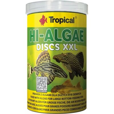 Disques d'algues élevées Tropical XXL - Nourriture pour poissons du fond Disques d'algues élevées Tropical XXL - Nourriture pour poissons du fond