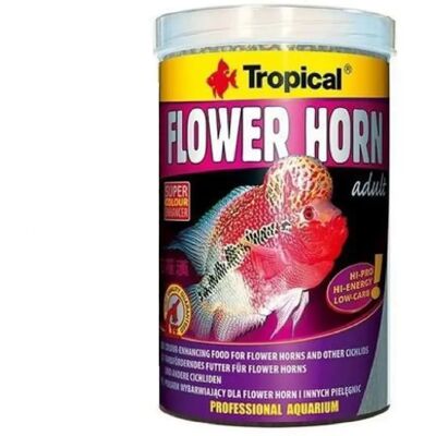 Pellet pour Adultes Flower Horn Tropical - Nourriture pour Poissons Pellet pour Adultes Flower Horn Tropical - Nourriture pour Poissons