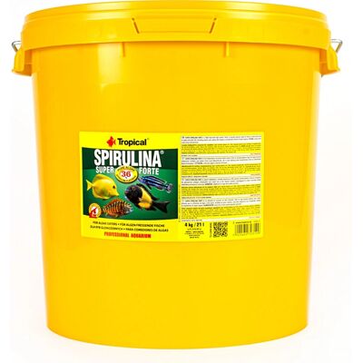 Super Spirulina Forte 36% Nourriture pour poissons - Améliore couleur & croissance Super Spirulina Forte 36% Nourriture pour poissons - Améliore couleur & croissance