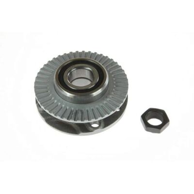 Kit de roulements de roue arrière BTA H2D002BTA pour Fiat, Alfa Romeo, Lancia Kit de roulements de roue arrière BTA H2D002BTA pour Fiat, Alfa Romeo, Lancia