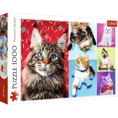 Trefl 10591 Puzzle - 1000 Stück - Puzzlespiel - Familienmarke Trefl 10591 Puzzle - 1000 Stück - Puzzlespiel - Familienmarke