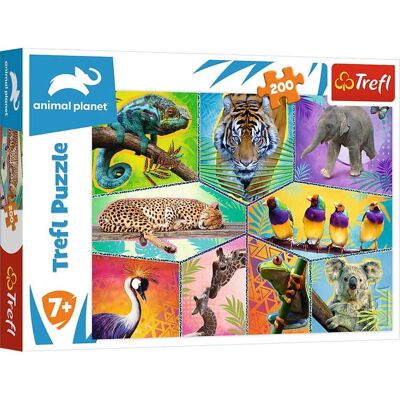 Trefl 13280 Puzzle - Animal Planet Egzotyczne Zwierzęta 200 elementów Trefl 13280 Puzzle - Animal Planet Egzotyczne Zwierzęta 200 elementów