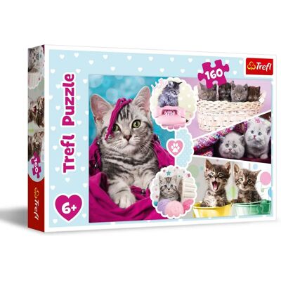 Puzzle Chatons Adorables 160 Pièces - Puzzle - Publicité Puzzle Chatons Adorables 160 Pièces - Puzzle - Publicité