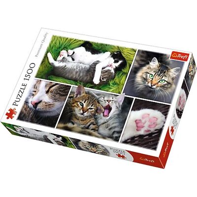 Trefl 26145 Puzzle - 1500 pièces Collage de chats - Puzzle - Publicité Trefl 26145 Puzzle - 1500 pièces Collage de chats - Puzzle - Publicité