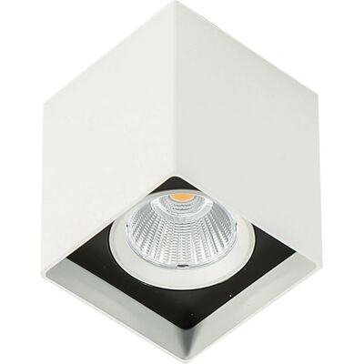 Italux Alden White Black - 3000K Surface Mount LED Light Italux Alden White Black - 3000K Surface Mount LED Light