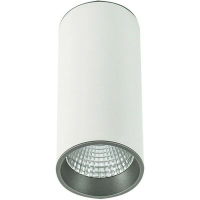 Italux Big WH / GR Ceiling Light - Modern Technical LED Surface Mounted Italux Big WH / GR Ceiling Light - Modern Technical LED Surface Mounted