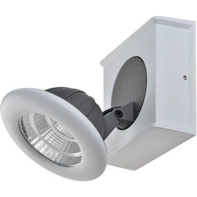 Italux Catalina Weiße Grau LED-Spotlight - Einzellochleuchte Italux Catalina Weiße Grau LED-Spotlight - Einzellochleuchte