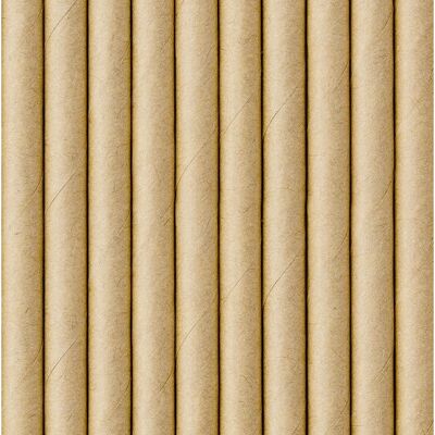 PartyDeco SPP9-031-KARTON Braune Einweg-Trinkhalme - Disposable Drinking Straws PartyDeco SPP9-031-KARTON Braune Einweg-Trinkhalme - Disposable Drinking Straws