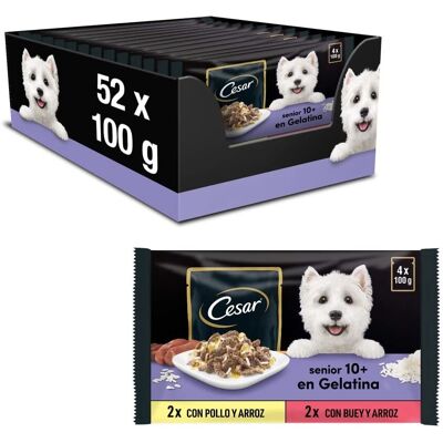 CESAR Senior Multipack - Komplett våtfoder - Kyckling, Biff, Kalkon & Lamm CESAR Senior Multipack - Komplett våtfoder - Kyckling, Biff, Kalkon & Lamm